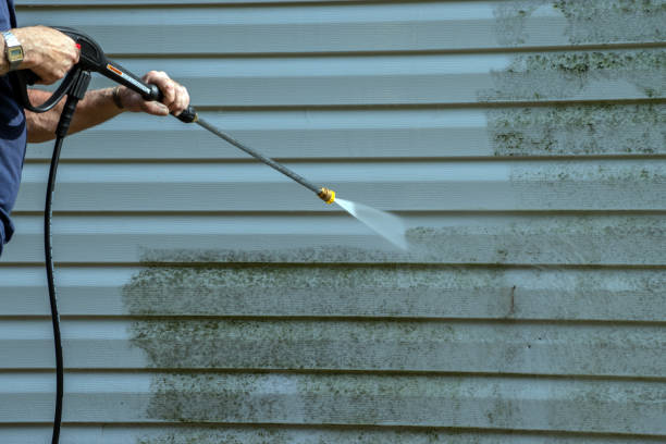 Best Solar Panel Cleaning  in Socorro, TX